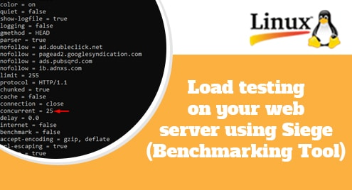 Do Not Allow Latency To Impression Your Small Business  Finest Practices For A Quick And Seamless Ux
